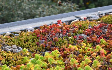 the cost of Abbots Ripton green roof installation