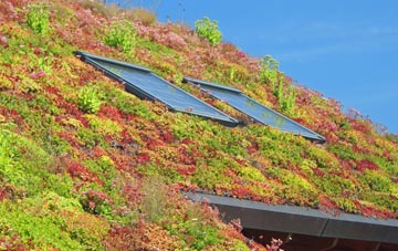 Abbots Ripton living roof systems