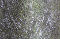 Abbots Ripton fibreglass roof work